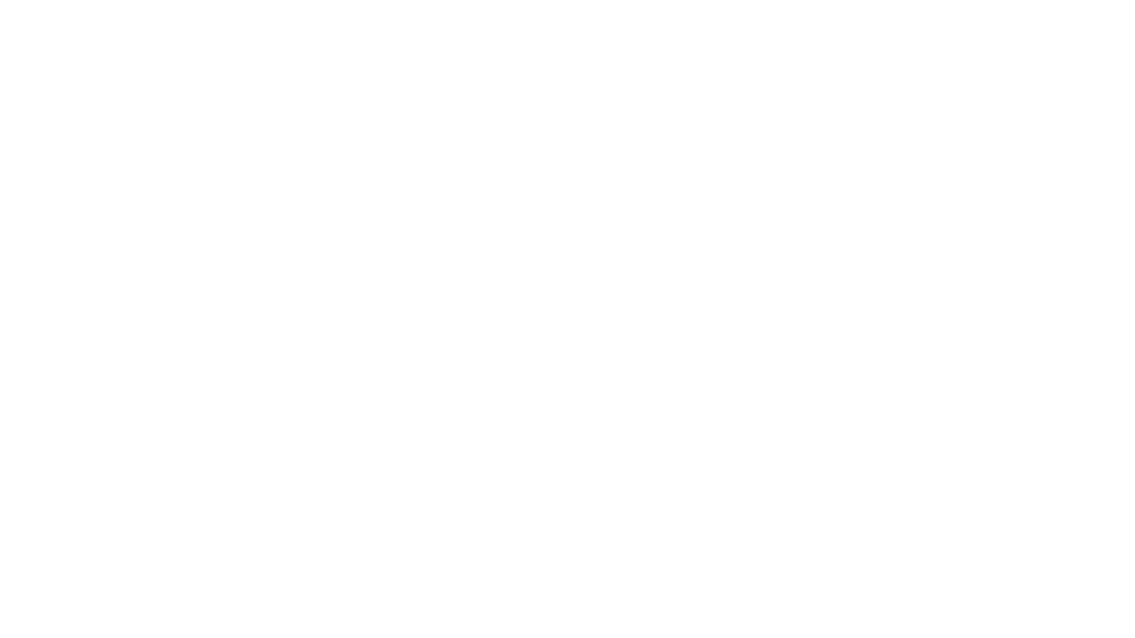 Museum Schloss Fechenbach Dieburg Logo